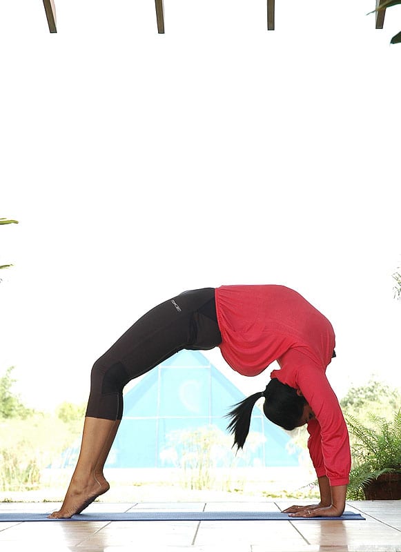 wheel, chakrasana