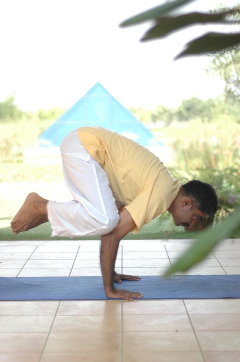 kakasana, the crow pose - a man balancing on both hands with knees on his upper arms.