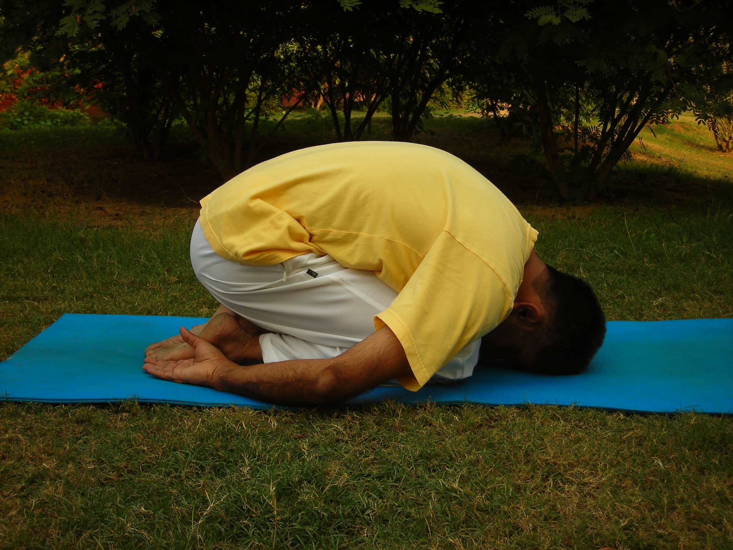 shashankasana, the hare pose - a man folded forward with his head to the mat.